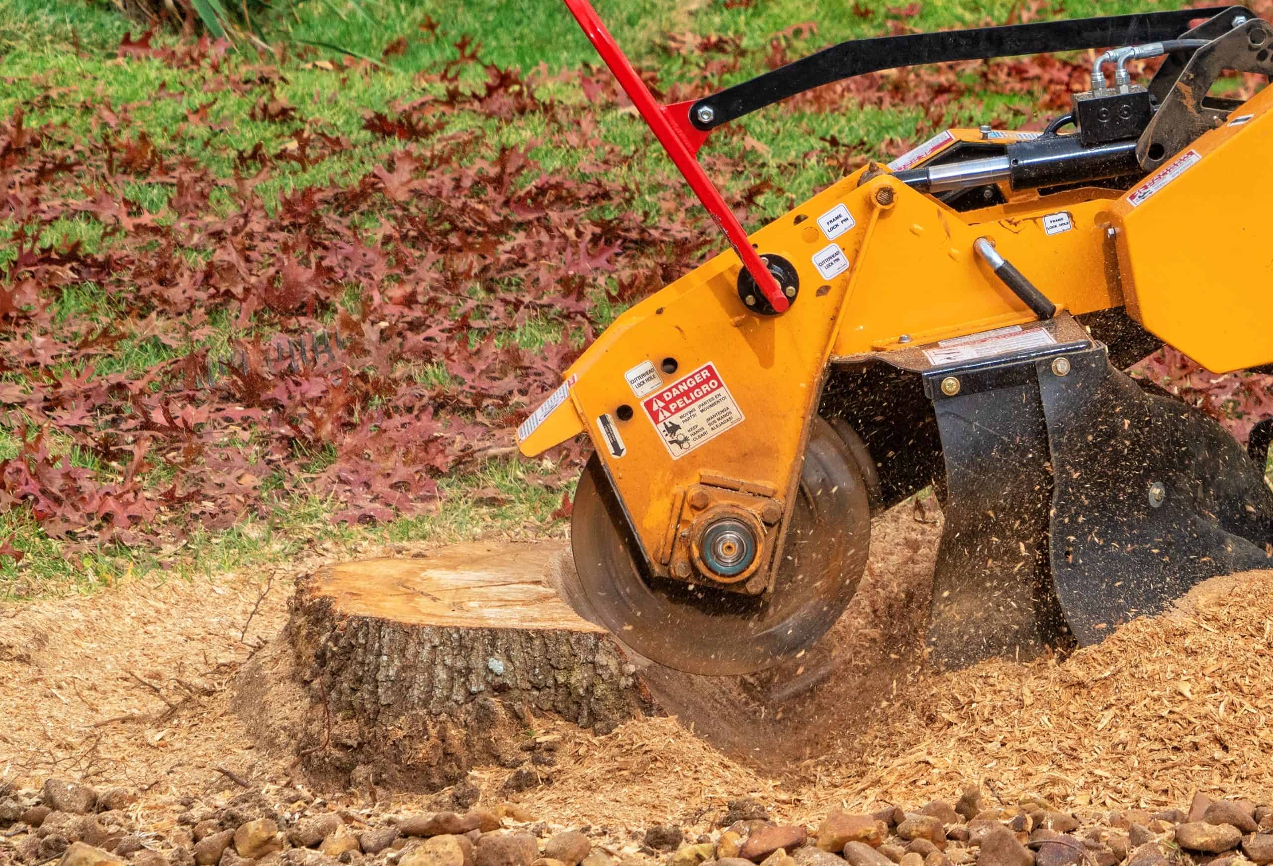 Stump grinding